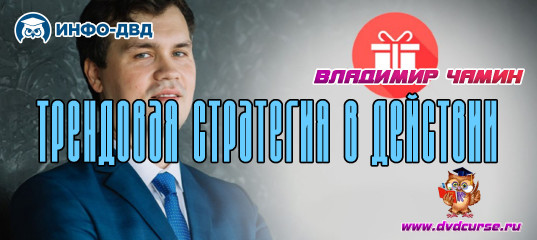 Видеозапись Трендовая стратегия в действии - Владимир Чамин, Издательство Info-DVD