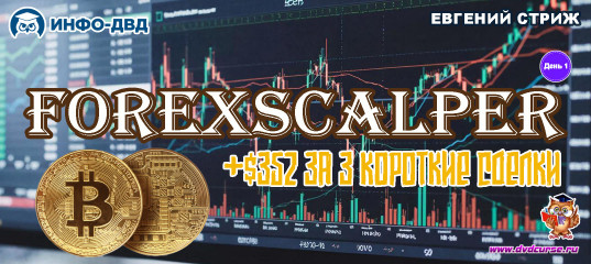 Видеозапись ForexScalper. День первый: +$352 за 3 короткие сделки - Евгений Стриж, Издательство Info-DVD Видеозапись ForexScalper. День первый: +$352 за 3 короткие сделки - Евгений Стриж, Издательство Info-DVD