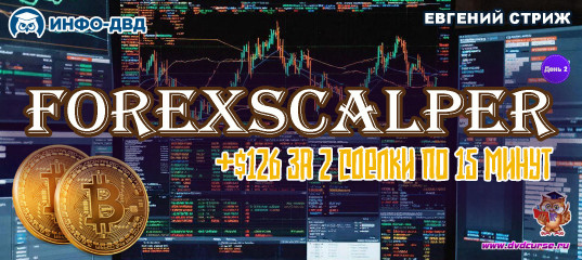 Видеозапись ForexScalper. День второй: +$126 за 2 сделки по 15 минут - Евгений Стриж, Издательство Info-DVD Видеозапись ForexScalper. День второй: +$126 за 2 сделки по 15 минут - Евгений Стриж, Издательство Info-DVD