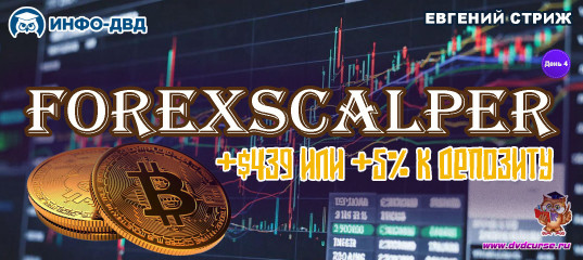 Видеозапись ForexScalper. День четвертый: +$439 или +5% к депозиту - Евгений Стриж, Издательство Info-DVD Видеозапись ForexScalper. День четвертый: +$439 или +5% к депозиту - Евгений Стриж, Издательство Info-DVD