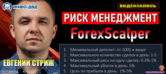 Видеозапись ForexScalper. Что это и как работает. Всё про риски - Евгений Стриж, Издательство Info-DVD Видеозапись ForexScalper. Что это и как работает. Всё про риски - Евгений Стриж, Издательство Info-DVD