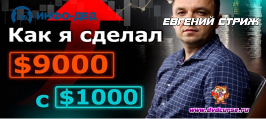 Видеозапись Как я сделал $9.000 из $1.000 за 1.5 года - Евгений Стриж, Издательство Info-DVD