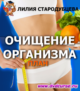 Бесплатный мини-курс План по очищению организма (Лилия Стародубцева, Школа здорового питания)