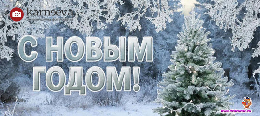 Поздравляем всех с новым 2021 годом (Елена Карнеева, Онлайн школа фотографии) Поздравляем всех с новым 2021 годом (Елена Карнеева, Онлайн школа фотографии)