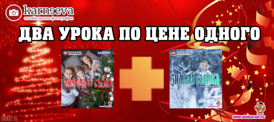 Распродажа Два зимних тематических урока по цене одного (Елена Карнеева, Онлайн школа фотографии) Распродажа Два зимних тематических урока по цене одного (Елена Карнеева, Онлайн школа фотографии)