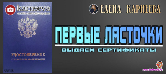 Первые ласточки - выдаем сертификаты - Елена Карнеева Первые ласточки - выдаем сертификаты - Елена Карнеева