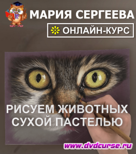 Онлайн - курс Рисуем животных сухой пастелью (Мария Сергеева, Школа рисования Арт-Матита)