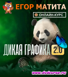 Онлайн - курс Дикая графика 2.0 (Егор Матита, Школа рисования Арт-Матита)