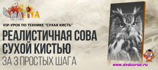 Онлайн - урок Реалистичная сова сухой кистью за 3 простых шага - Егор Матита, Школа рисования Арт-Матита